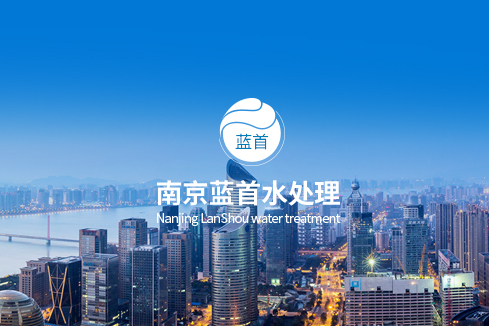 枝江建站-南京蓝首水处理设备有限公司